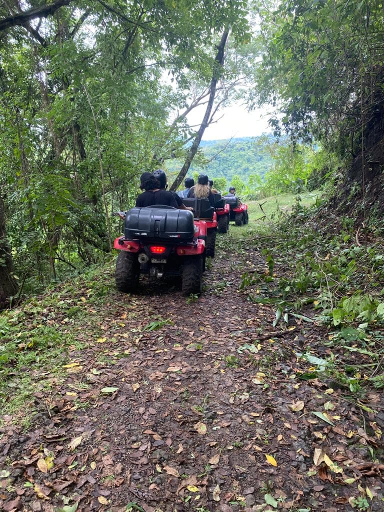 420cc Honda — ATV Rentals